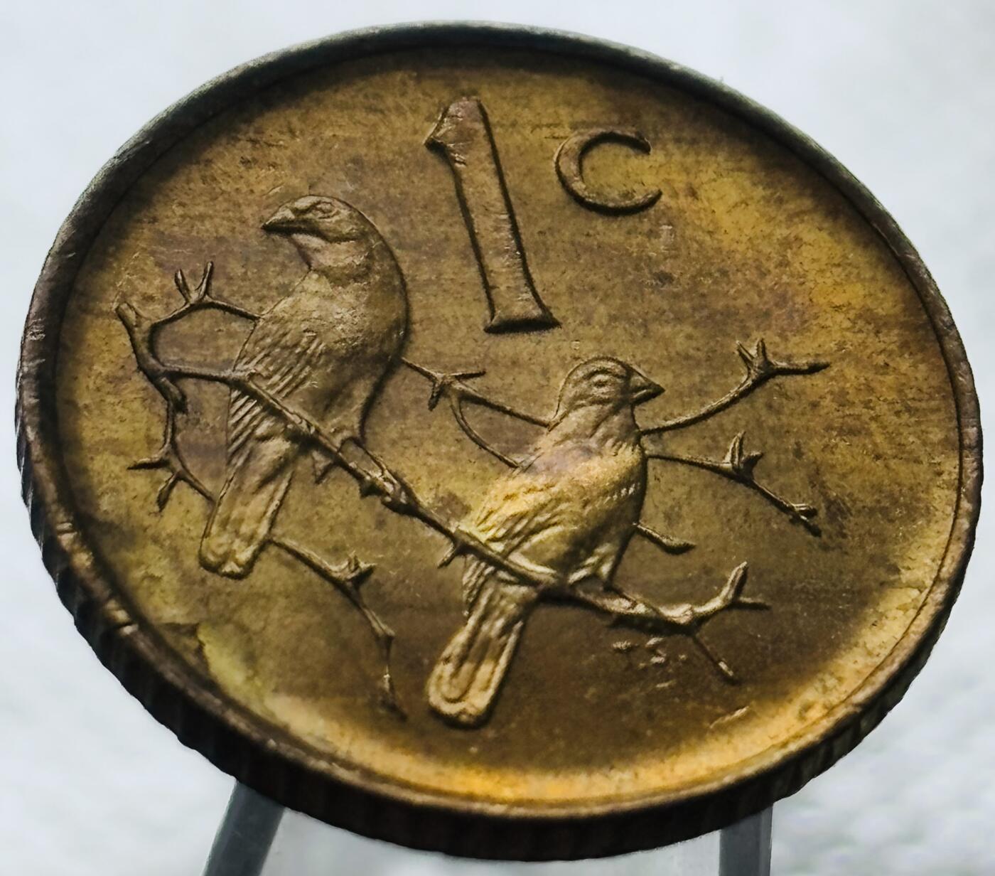 文馨钱币收藏第 269 场，长期接收代拍品 原铜光 UNC1986 年南非双喜鹊一分铜币