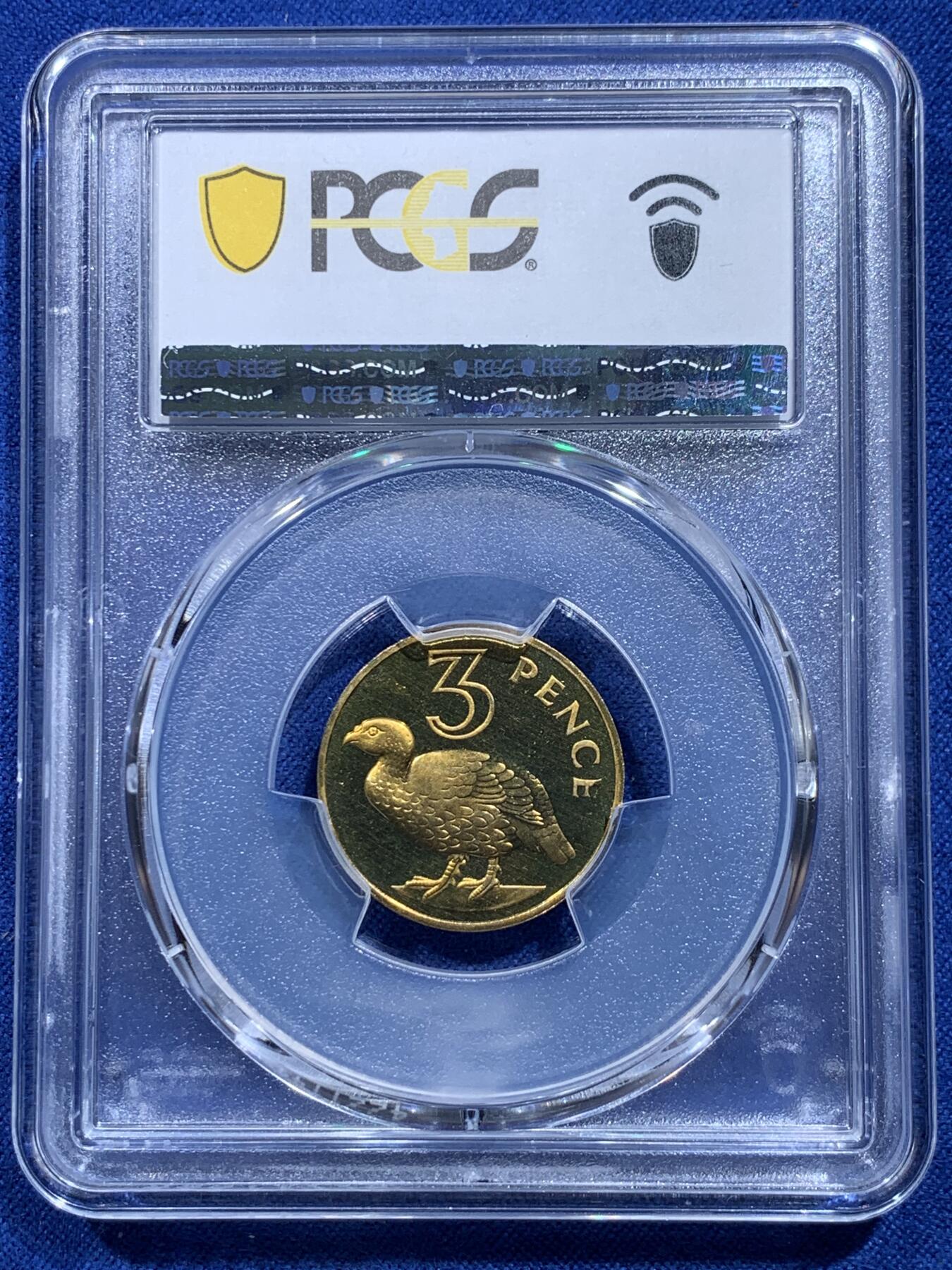 《竞宝斋》第415场 周日，周一，2场连拍 （全场包邮） PCGS PR67CAM 冈比亚1966年3便士非洲渡鸭精制币
