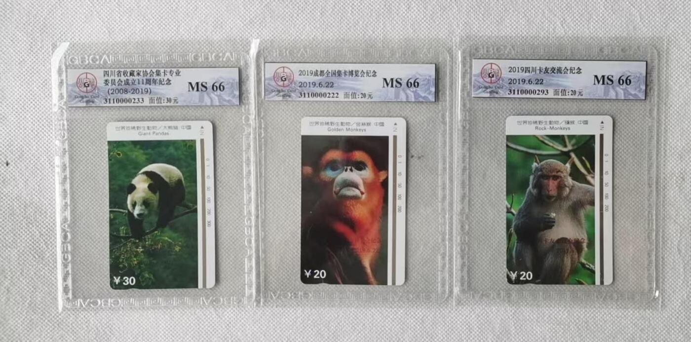 【琪哥网】评级磁卡综合场(九十一） 【公博66】成都野生动物加字