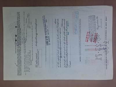 狮子猫股票债券纸品第三期 美国阿伦房地产开发公司股票