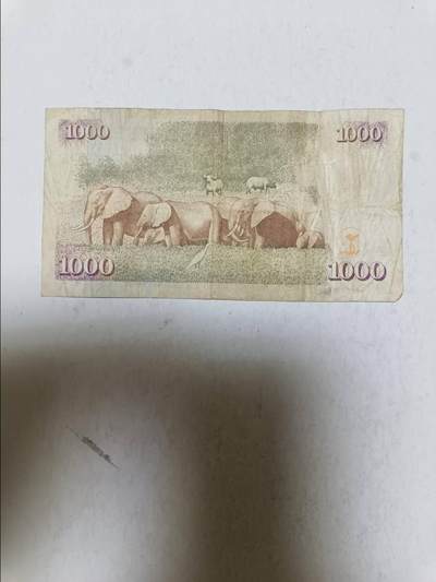 【20250905】非全新纸币第282场 肯尼亚1000先令，汇率价约为55元