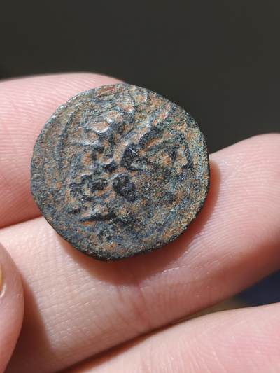 星盘世界钱币九月六日古典币专场 - 希腊塞琉古帝国 安条克八世 铜币正面为安条克八世（公元前 121 - 前 96 年在位）仿照希腊太阳神赫利俄斯形象，头戴放射状太阳冠冕神化自己的头像。（太阳冠边缘呈尖锐光线状，是赫利俄斯的标志性特征）背面为神鹰，铭文通常为 “ΒΑΣΙΛΕΩΣ ΑΝΤΙΟΧΟΥ ΣΩΤΗΡΟΣ”（意为 “拯救者国王安条克的”）