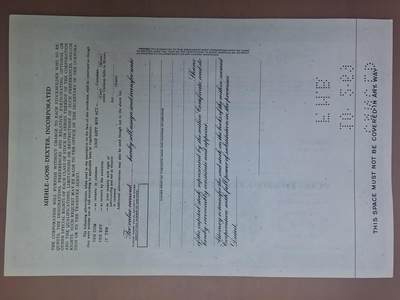 狮子猫股票债券纸品第三期 美国1969年尼希尔—戈斯—德克斯特公司