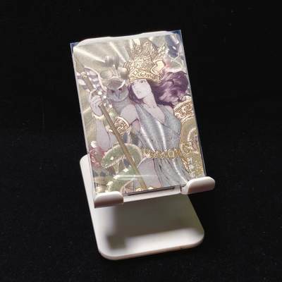 【铜匠收藏】★第120加场★精品币章场，200包邮，不满200.支付运费5元。《接受代拍 代送NGC评级》 - 2025麦稀奇嘉年华纪念闪卡 A款