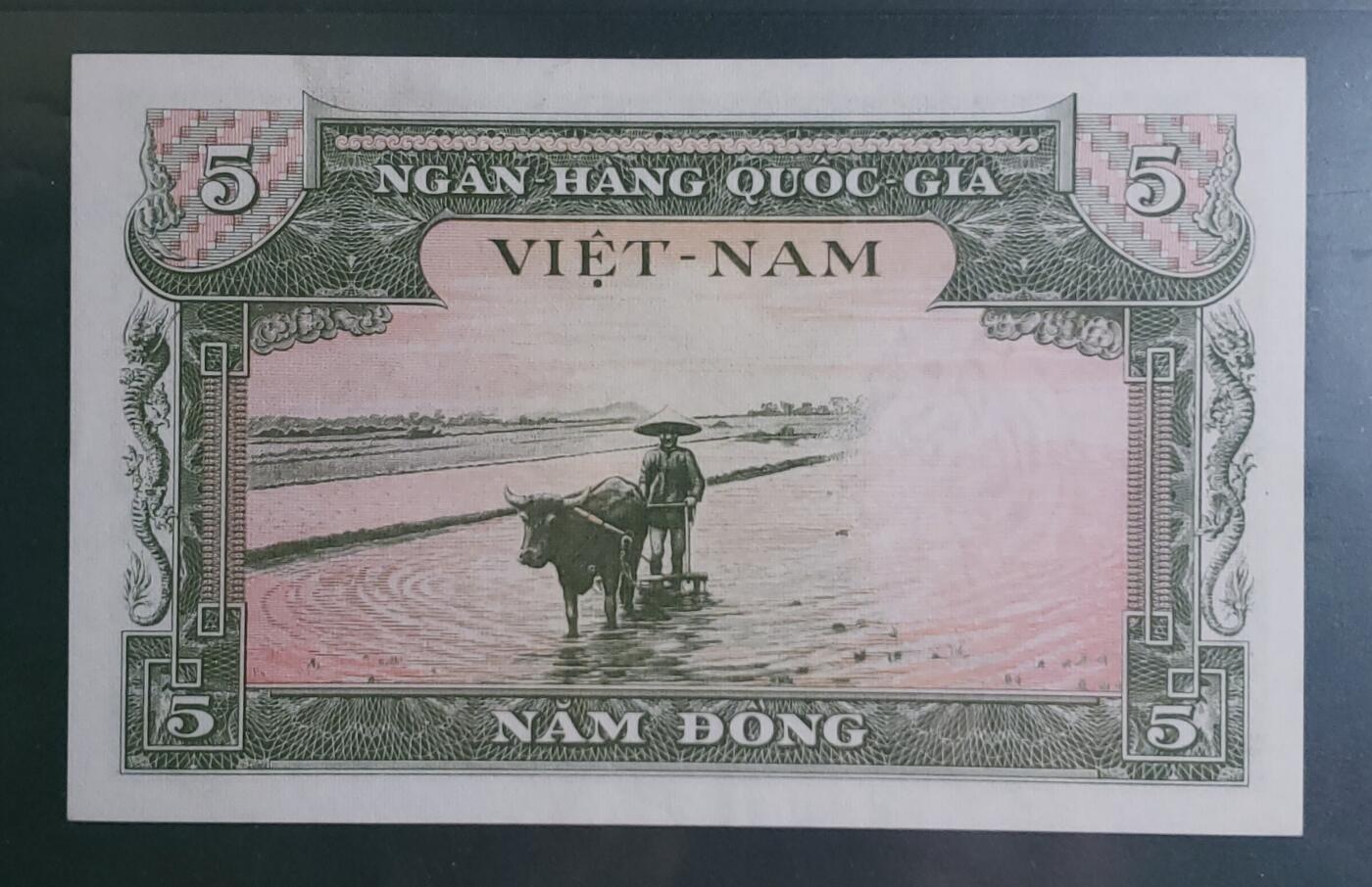 1955年南越“龙与凤”5盾钞（爱藏评级）