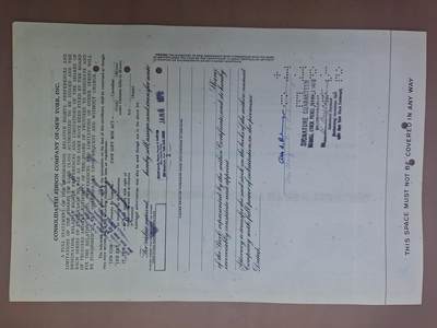 狮子猫股票债券纸品第三期 美国1965年爱迪生联合电气公司