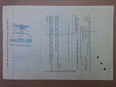 狮子猫股票债券纸品第三期 美国1976年铂金—埃尔默公司