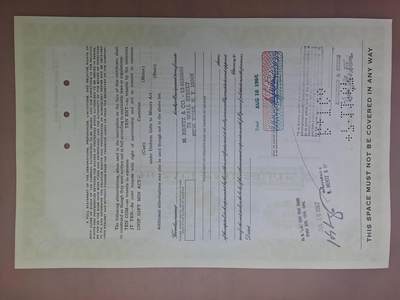 狮子猫股票债券纸品第三期 美国1966年食品百货有限公司