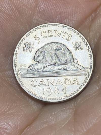 2025年第八十五场(总第一百一十一场）外国好品散币(免佣金) - 加拿大🇨🇦1984年5分(伊丽莎白二世中年花冠，第三版浅浮雕工艺)