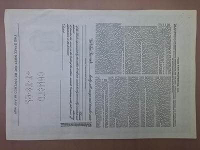 狮子猫股票债券纸品第三期 美国1955年食品博览会地产公司