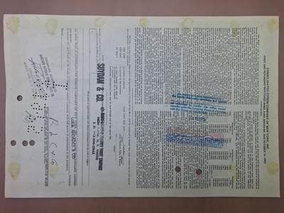 狮子猫股票债券纸品第三期 美国1974年爱迪生联合电气公司