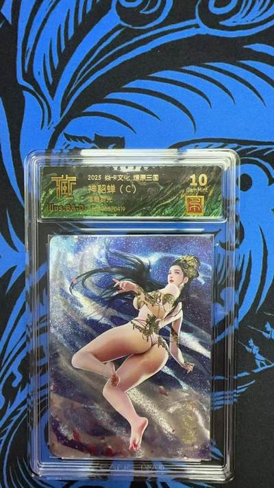 寸草不生拍卖 第七期 （9月5日结拍 ） - 2025 焱卡文化 燎原三国神貂蝉(C)浮雕折光