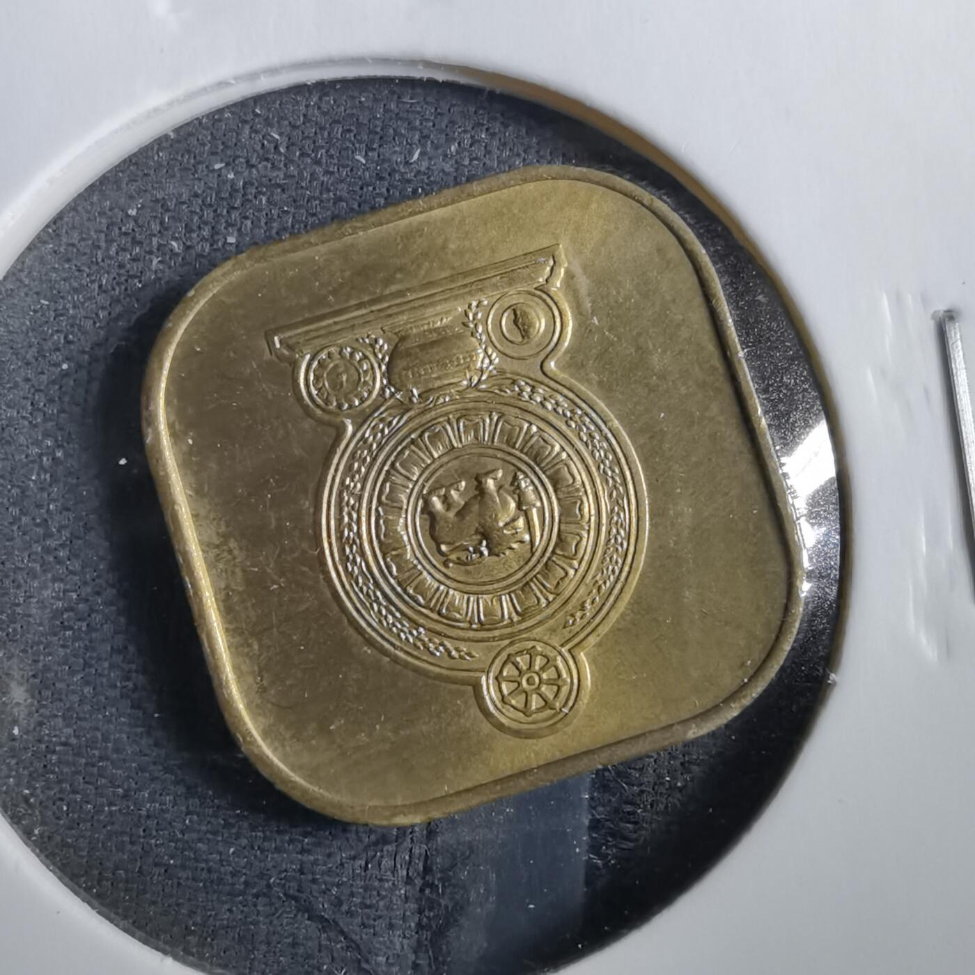 沼泽如烟--第830场