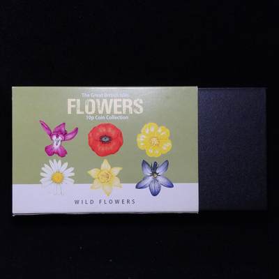 【铜匠收藏】★第120加场★精品币章场，200包邮，不满200.支付运费5元。《接受代拍 代送NGC评级》 - 英国 2022年 野生花卉 10便士 