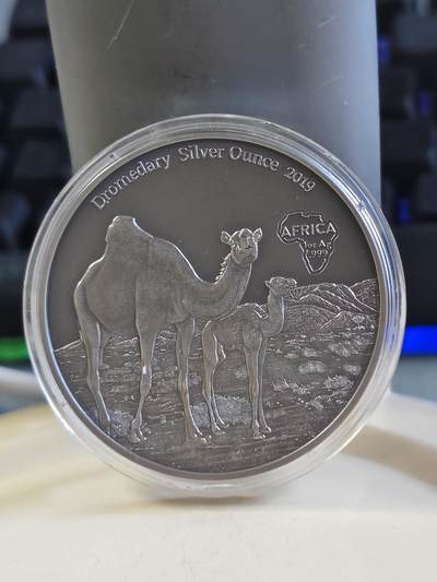 第174期拍卖【长期征集拍品】 - 喀麦隆2019年动物骆驼1盎司仿古纪念银币，9999银，发行2000枚