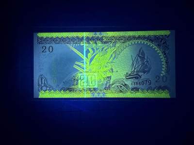 【炜奕收藏】，第四十三期 2000年马尔代夫20拉菲亚，UNC品相，千禧年纪念版