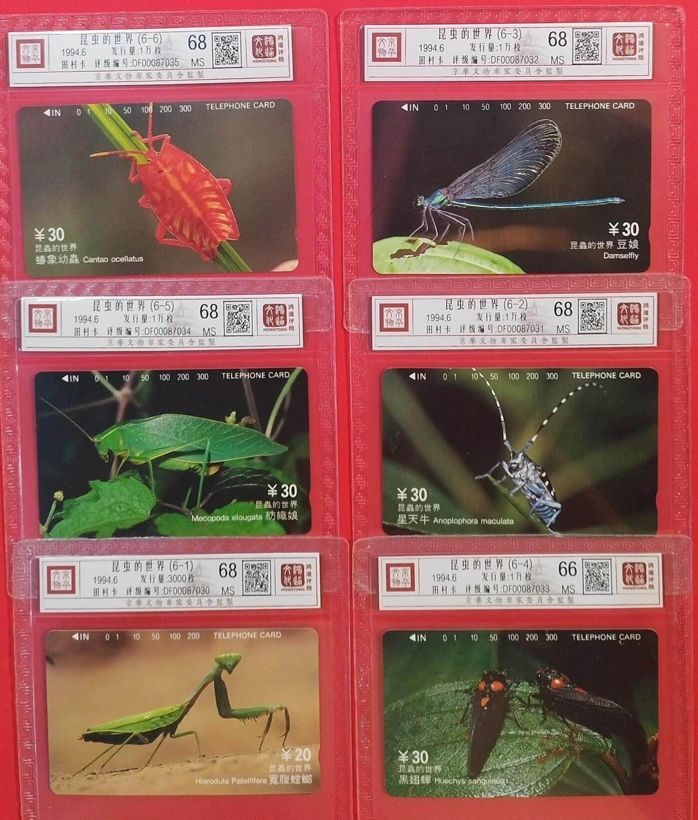 《鸿通俱乐部》拍卖第53期 9月3日21：00延时节拍