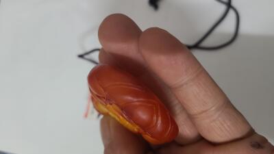 玄黄帝珠香沉香吊坠