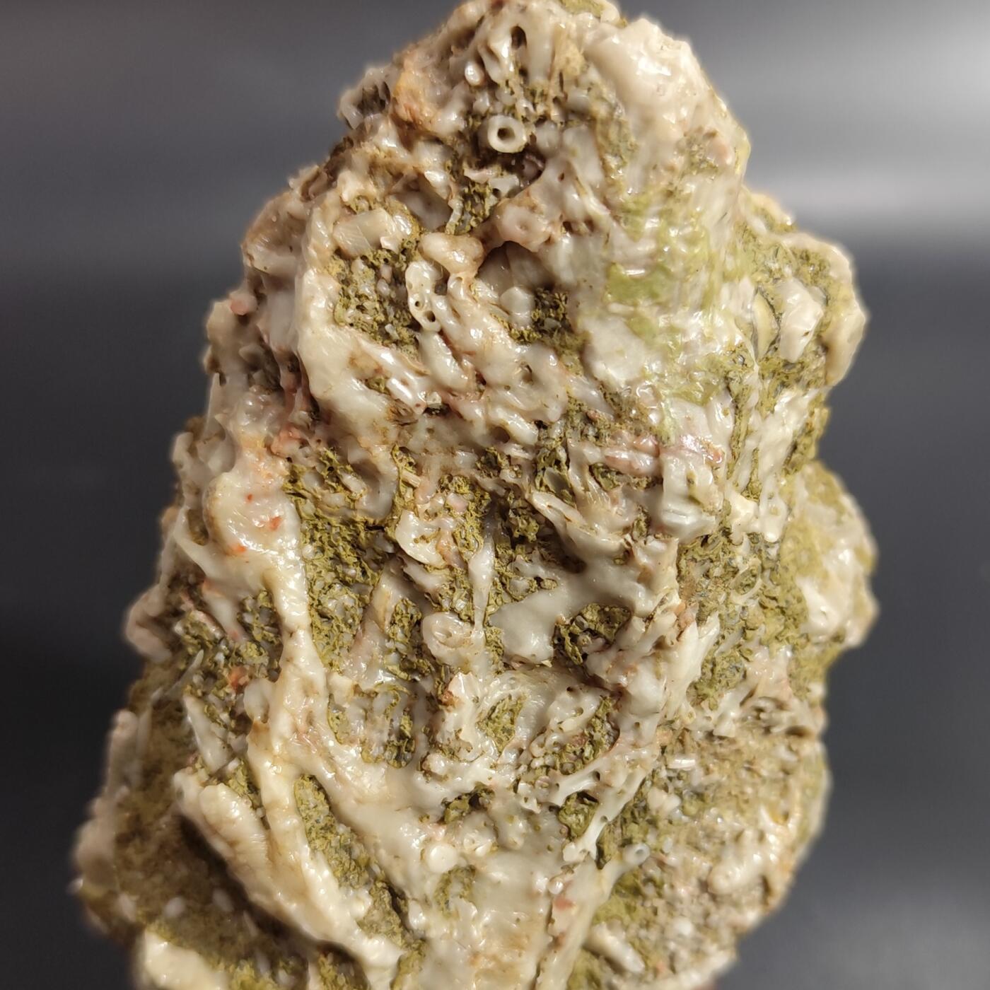 希腊罗马丝路打制币化石【中外钱币放漏】专场！陆小鱼的钱币仓，限时拍卖第077场