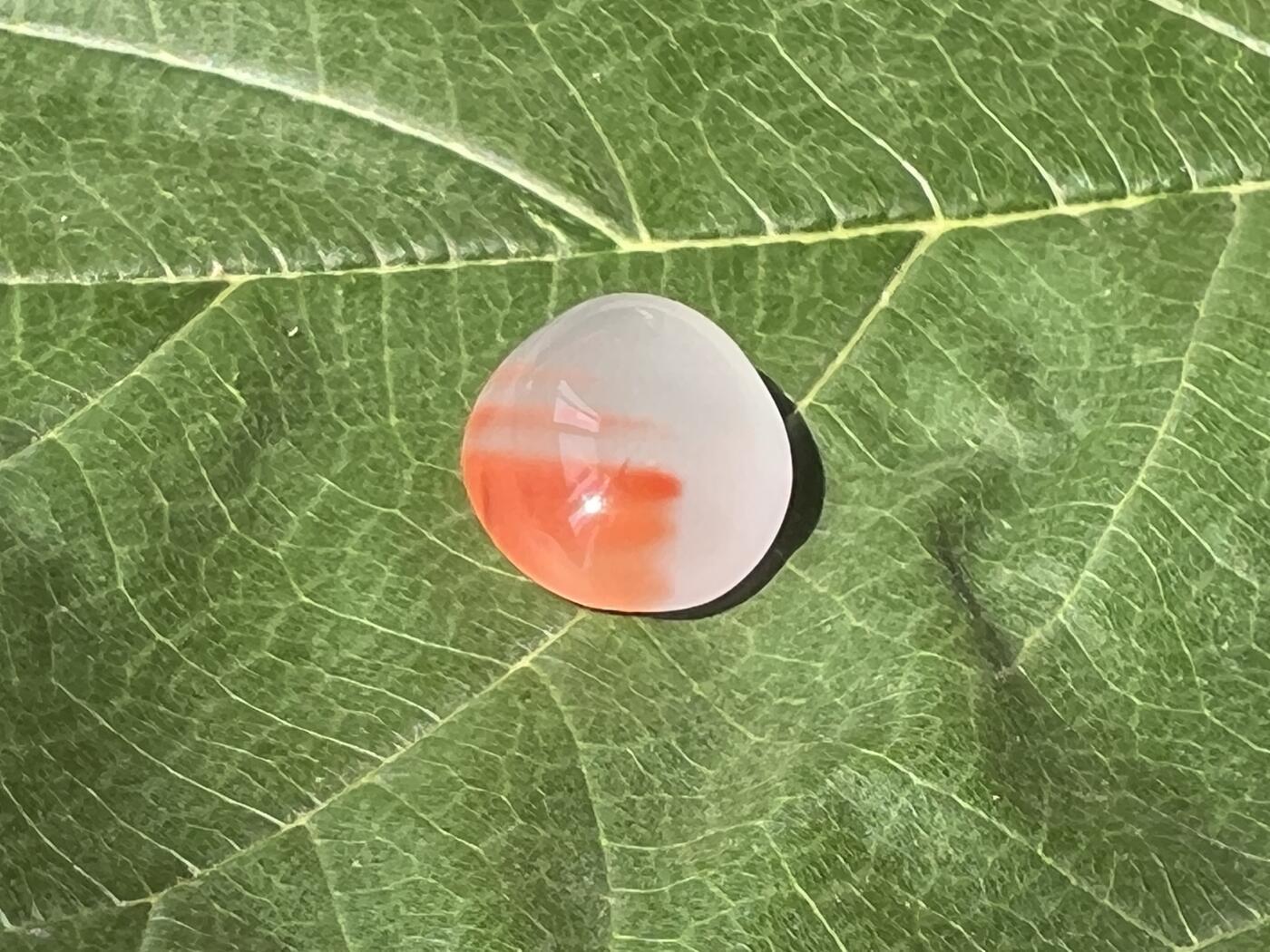 零元拍：南红玛瑙冰飘戒面。尺寸：约2克，17/12.5MM，凉山联合冰飘料，满荧光，红色飘花非常漂亮颜色以实物为准。