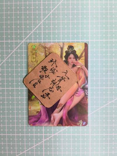 C先生卡牌 第11期 人间传亲签·西游姬亲签·乾坤未定亲签·轩辕春秋亲签·武韵红颜亲签(持续收拍品中...) - 【彩闪】卡将原创《欲女传》步练师 艺术卡