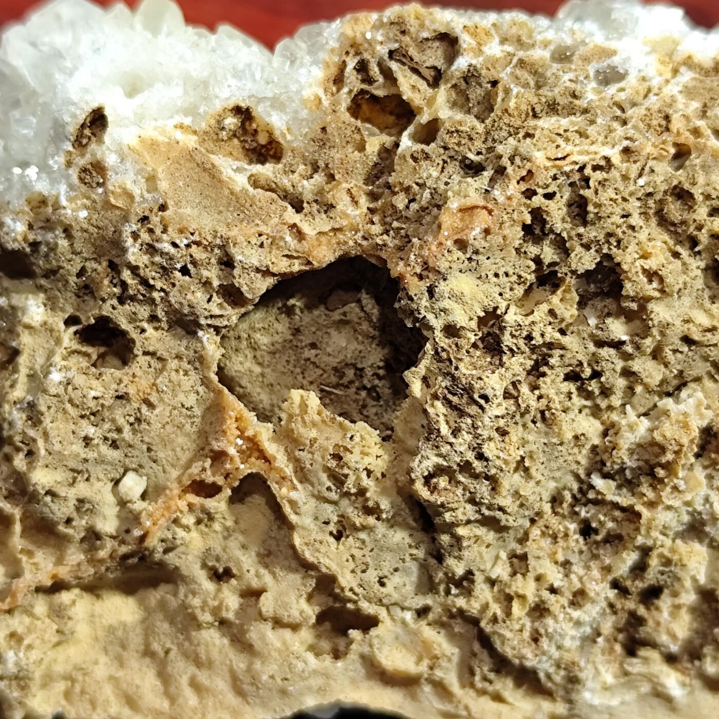 希腊罗马丝路打制币化石【中外钱币放漏】专场！陆小鱼的钱币仓，限时拍卖第077场