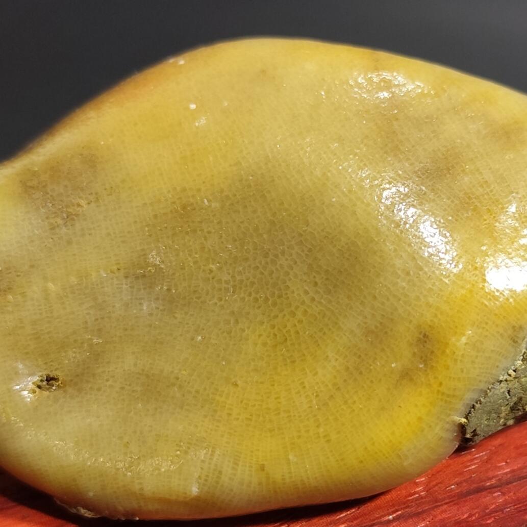 希腊罗马丝路打制币化石【中外钱币放漏】专场！陆小鱼的钱币仓，限时拍卖第077场 全玉化鸡油黄彩色珊瑚化石 纹路细腻 玉质非常油润 适合当个手把件 4.5亿年前奥陶纪时期古生物化石135g