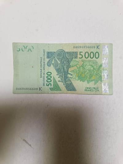 【20250909】非全新纸币第283场 - 西非5000法郎，有针孔，汇率价约为65元
