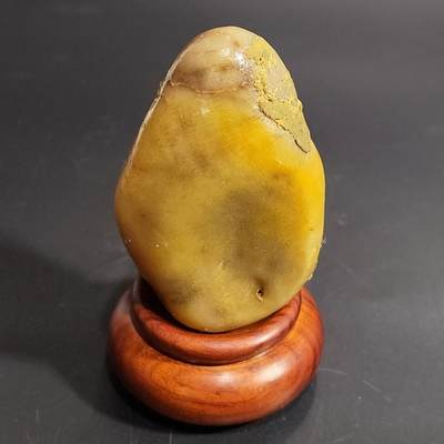 希腊罗马丝路打制币化石【中外钱币放漏】专场！陆小鱼的钱币仓，限时拍卖第077场 - 全玉化鸡油黄彩色珊瑚化石 纹路细腻 玉质非常油润 适合当个手把件 4.5亿年前奥陶纪时期古生物化石135g