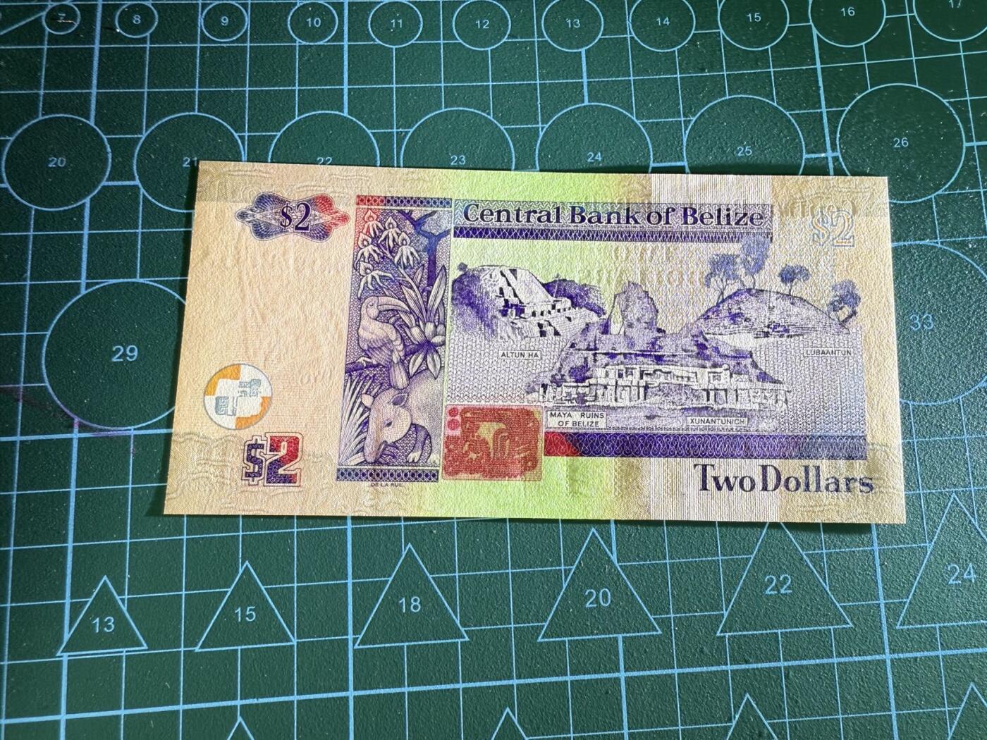 【炜奕收藏】，第四十三期