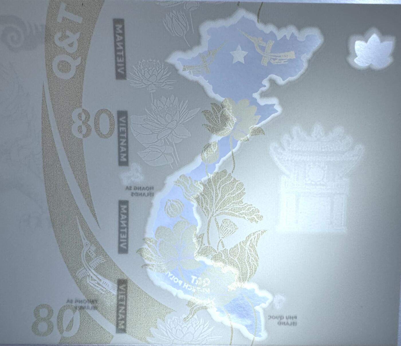 2025第22场（总第222期）：外钞，测试钞综合场 越南Q&T “金龙+荷花+地图”光版PolySecure基材塑料测试钞册装UNC