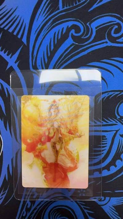 夜之极第三十期 （9月6日周六晚9点截拍，欢迎竞拍） - 燎原 神孙尚香 动态光栅