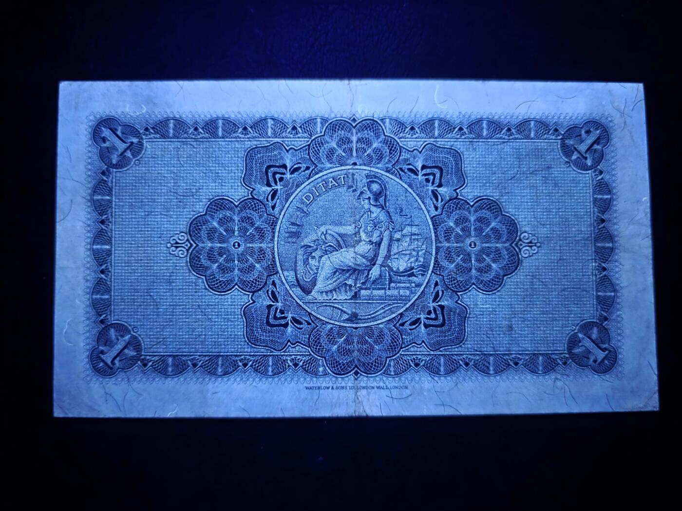 叁拾收藏第31期