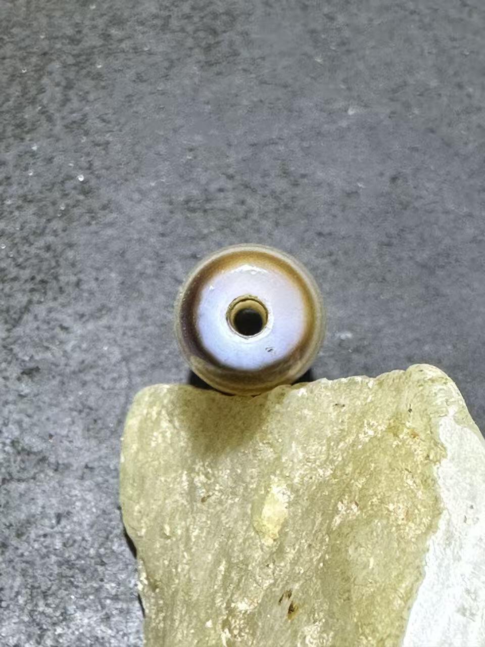 仅此一颗，藏传龟甲随形天珠一颗