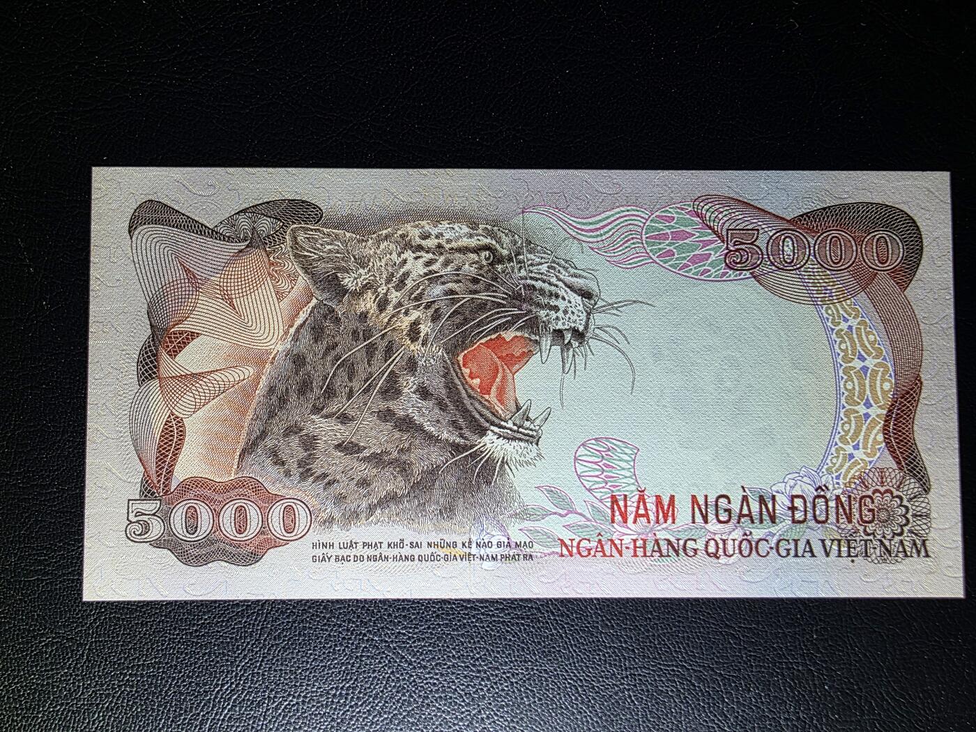 叁拾收藏第31期 南越1975年5000盾  豹子  UNC