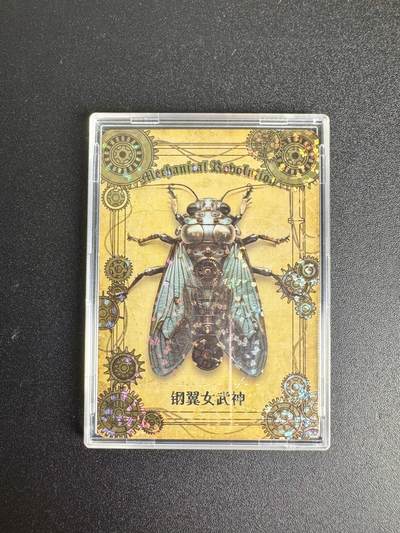 NO.8期 周末精品大拍场！ 相当震撼，应有尽有，量大管饱，方便凑单！（周六晚7点半截拍，卖家送拍0抽成！）  - 秘境-夏日虫语 钢翼女武神（稀有）