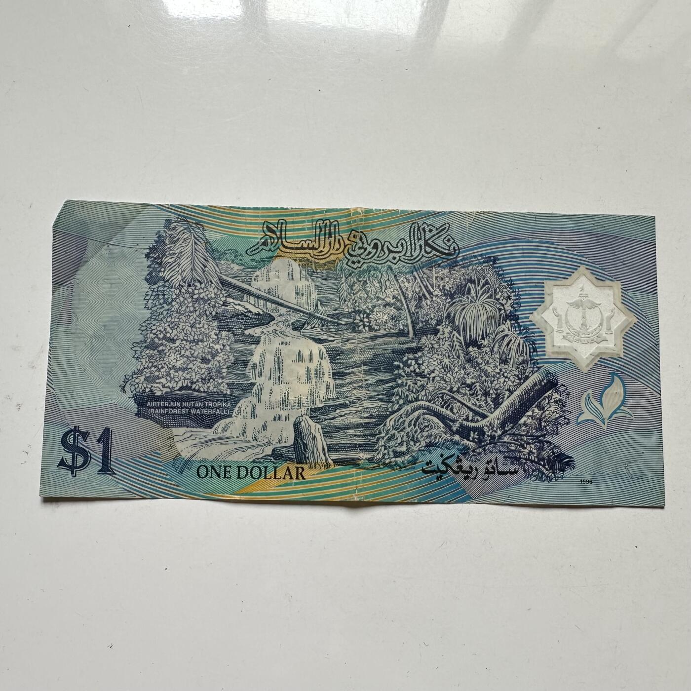 🌹外币初藏🌹🐯2025年第98场  每周二四六晚8️⃣点 接代拍 文莱1996版¥1 塑料钞