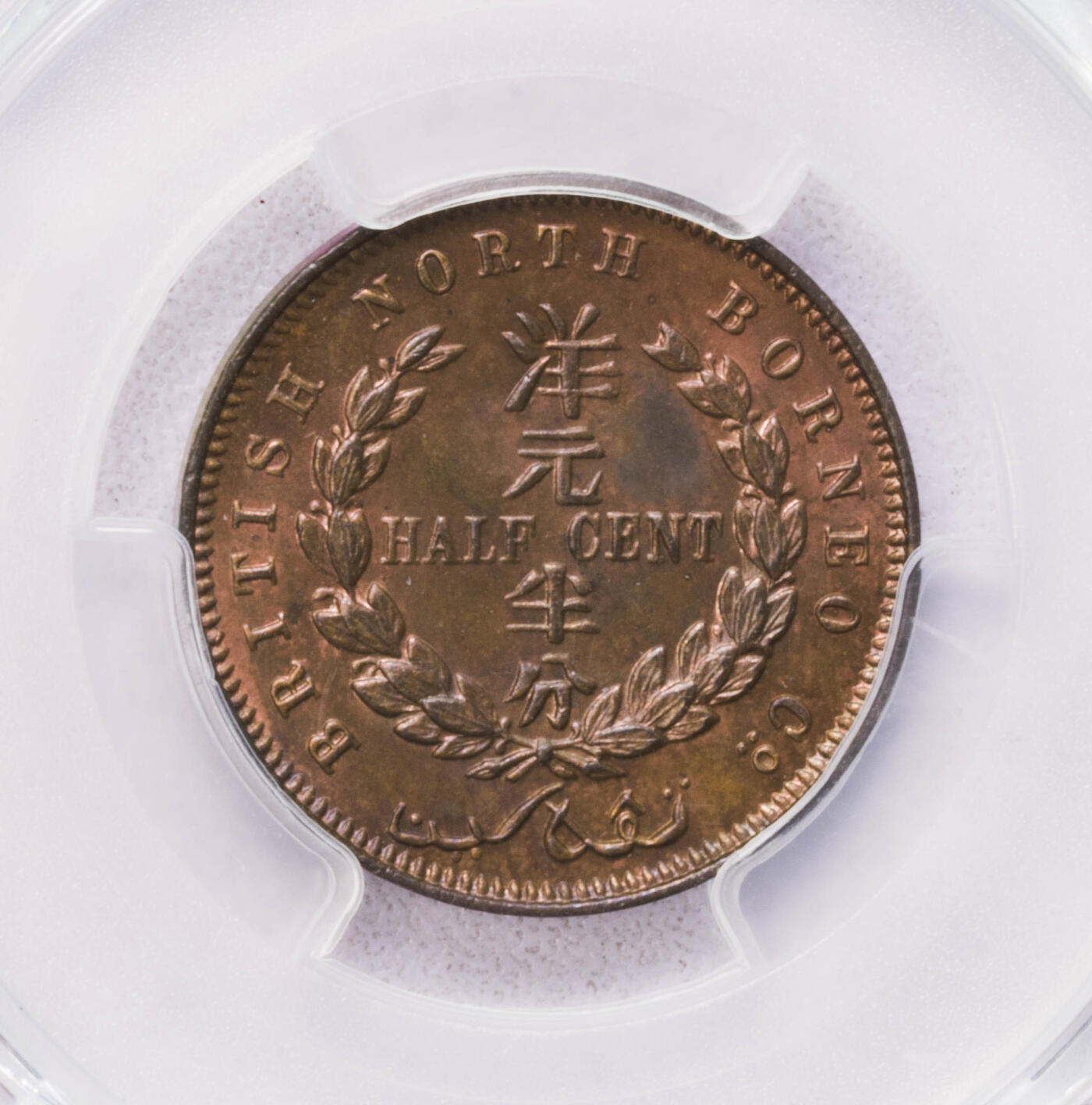 NGC-MS64/65BN/66BN 精品北婆罗洲一套6枚 图二