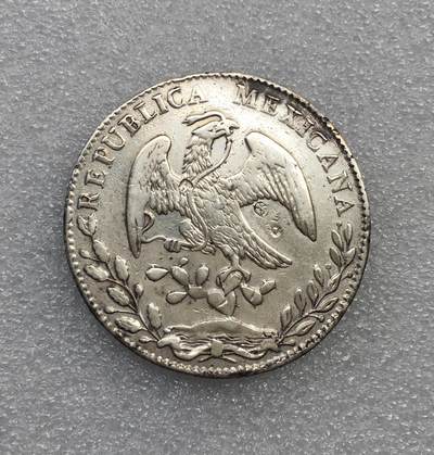 世界钱币专场拍卖 - 1881年GO版墨西哥花边鹰洋8R流通银币 26.8克