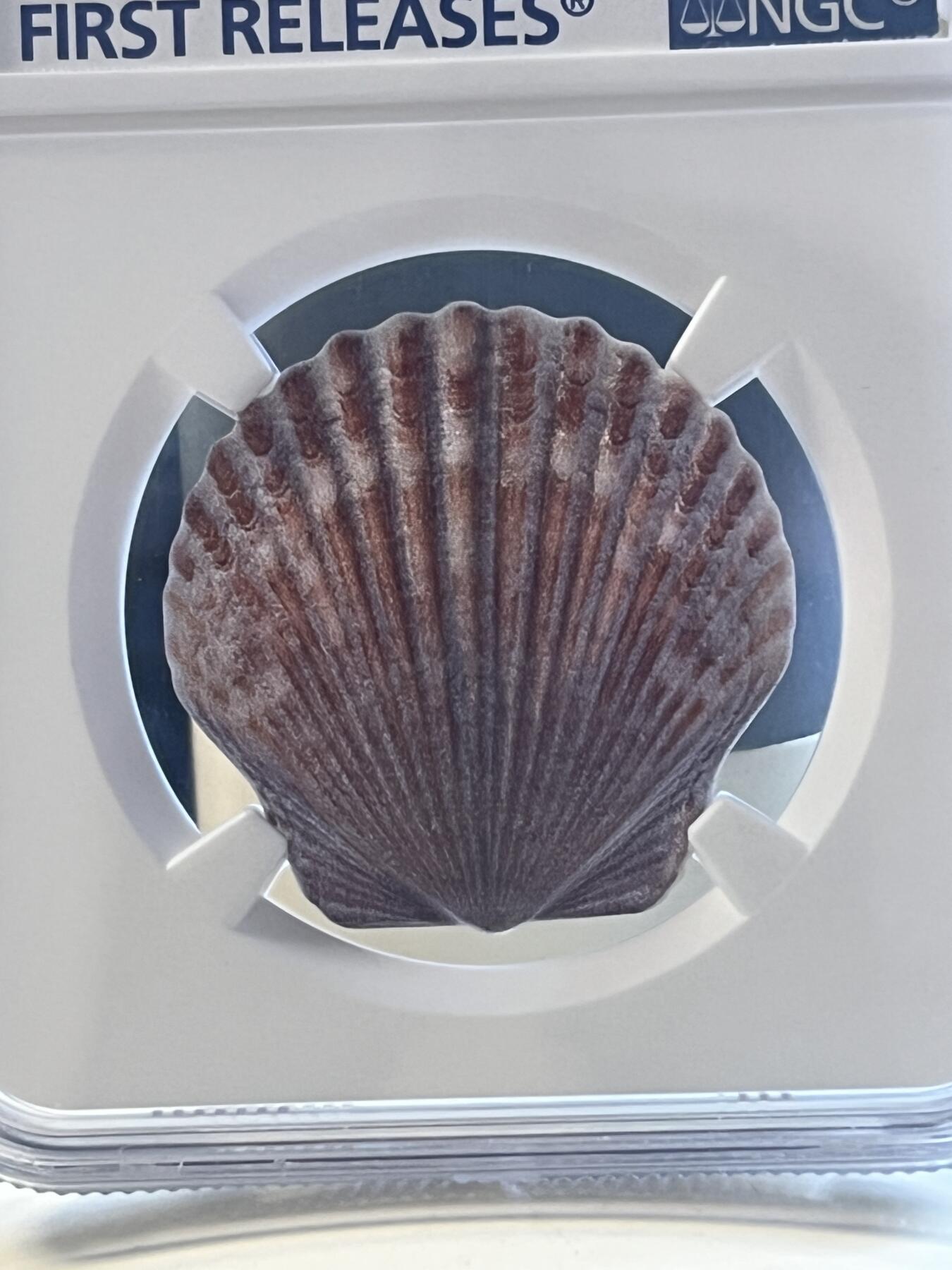 第173期拍卖【长期征集拍品】 斐济i2019年贝壳异形10克纪念银币NGC-PF70首原盒证书，10克，999银，发行10000枚