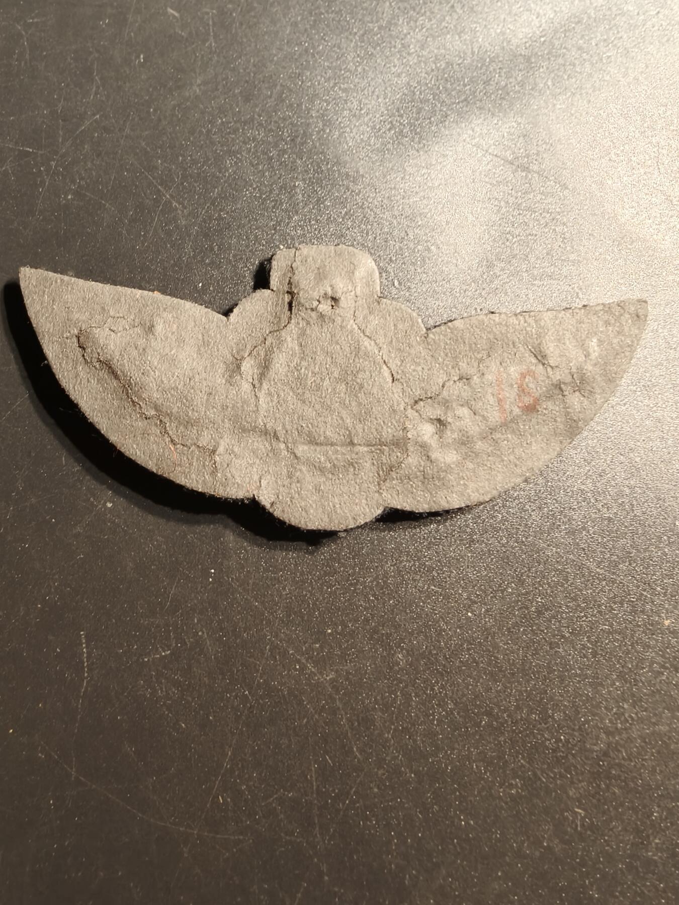 老王徽章第147期