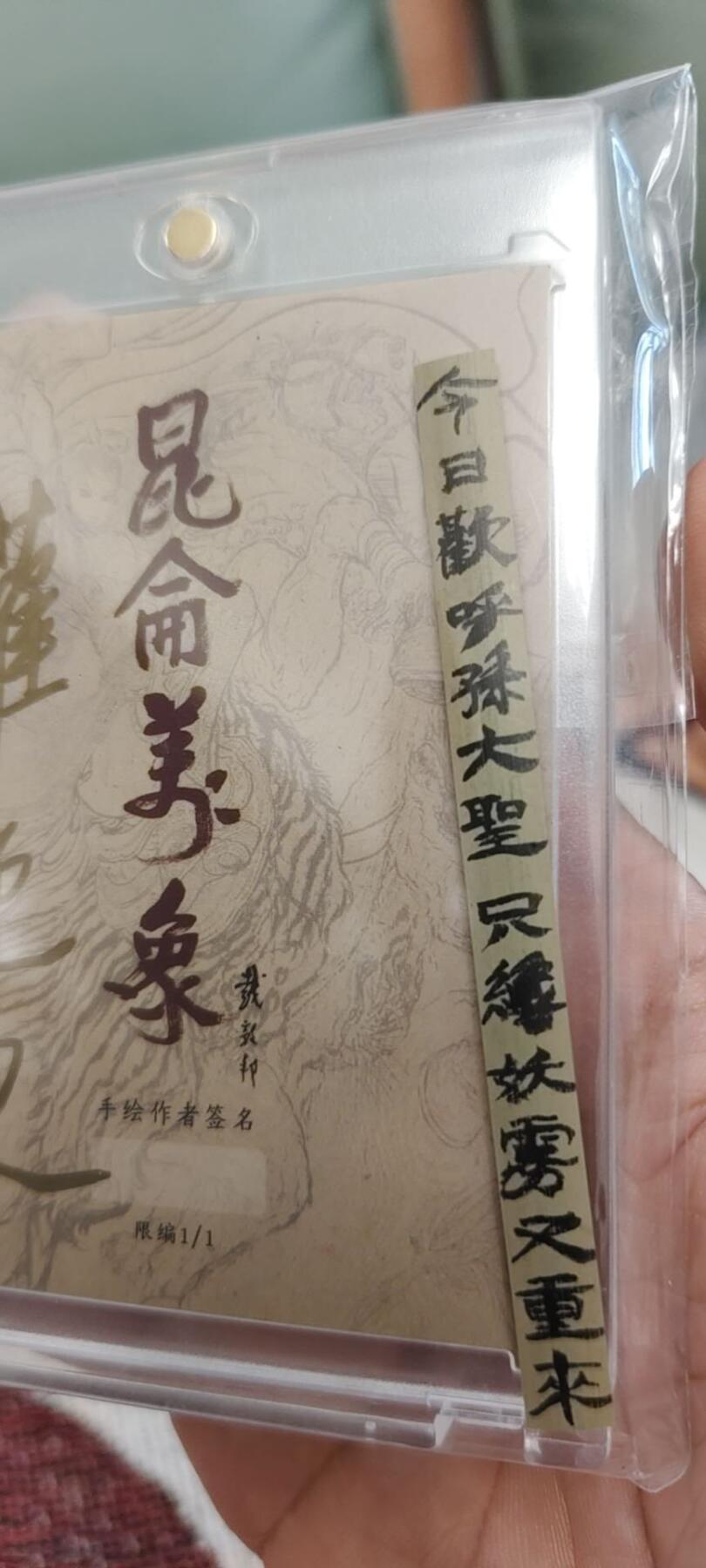 秋原瞳的小店第二十一期（持续收拍，一叶知秋，一夜知秋,妹卡专场）