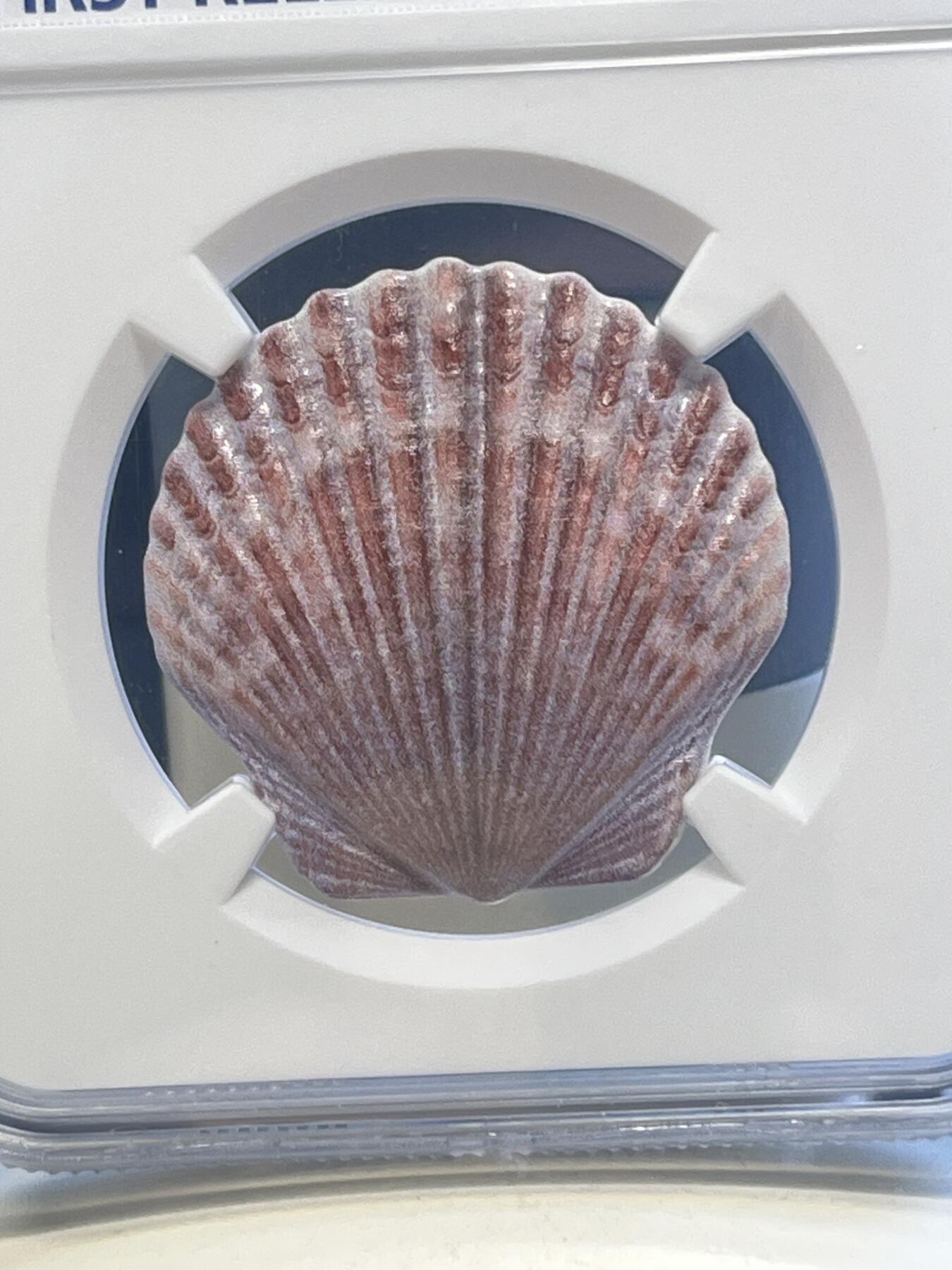 第173期拍卖【长期征集拍品】 斐济i2019年贝壳异形10克纪念银币NGC-PF70首原盒证书，10克，999银，发行10000枚