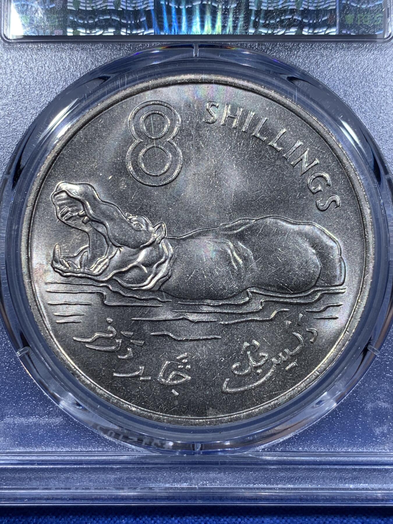 《竞宝斋》第416场 周日，周一，2场连拍 （全场包邮） PCGS MS66 冈比亚1970年8先令大河马币，普制版大镍币，高分难得
