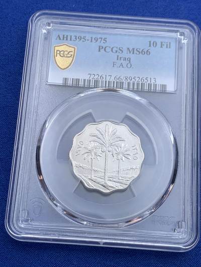 《竞宝斋》第416场 周日，周一，2场连拍 （全场包邮） - PCGS MS66 伊拉克1975年10费尔椰树 经典波浪形边设计 拆卷评级高分 适合配套