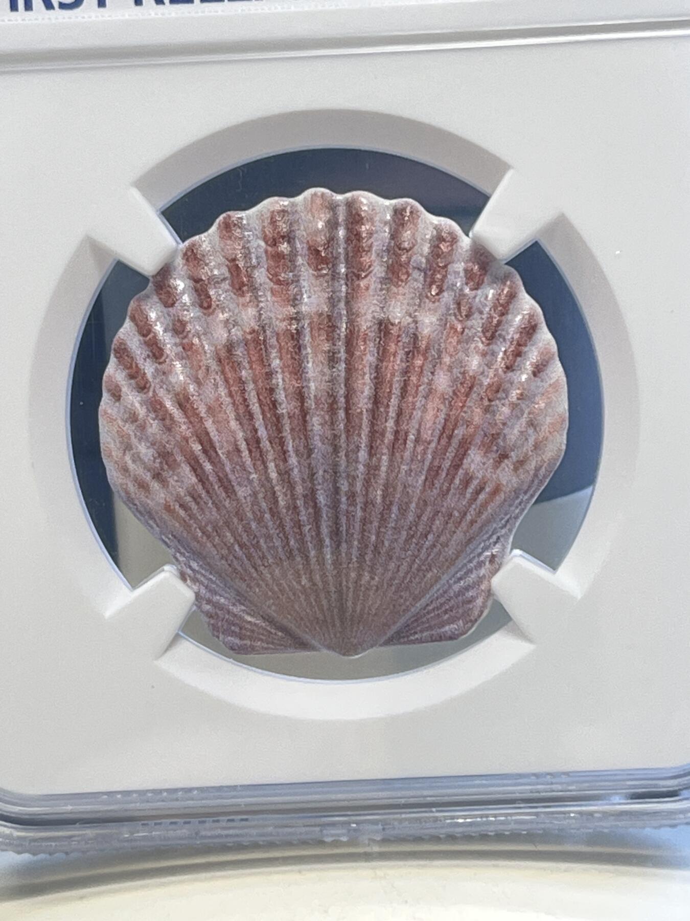 第173期拍卖【长期征集拍品】 斐济i2019年贝壳异形10克纪念银币NGC-PF70首原盒证书，10克，999银，发行10000枚
