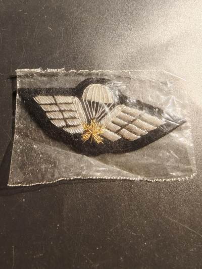 老王徽章第147期 - 伊拉克空降兵胸章