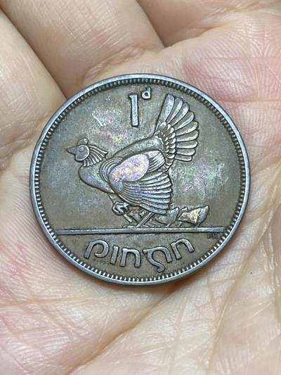 2025年第八十七场(总第一百一十三场）外国好品散币(免佣金) - 爱尔兰🇮🇪1942年1便士(共和国时期第一套)
