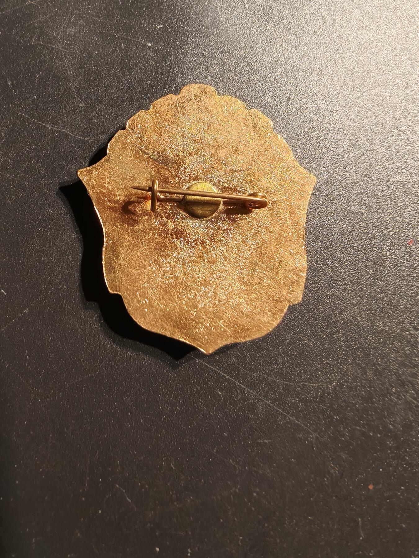 老王徽章第147期