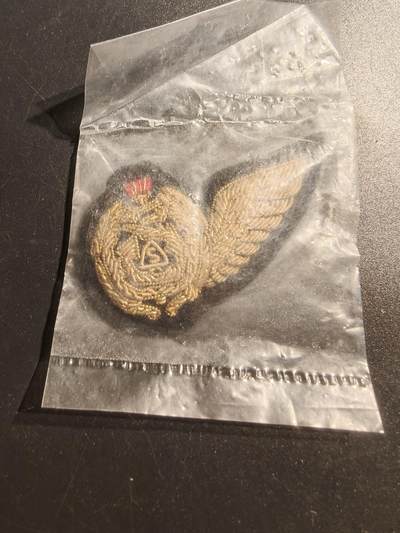 老王徽章第147期 - 伊拉克空军飞行员胸章
